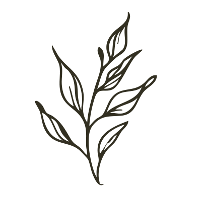 Alt Image