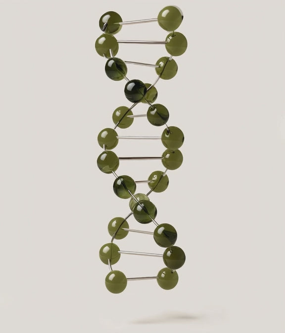 Load video: DNA helix